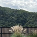 수수다올 이미지