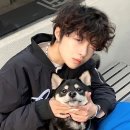 스타일 퍼피 이미지