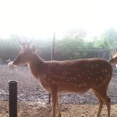 옹기목장 이미지