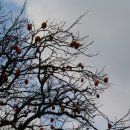 안용당 | 안용당에서