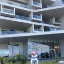 두부스테이 이미지