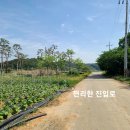 홍성공인중개사사무소 이미지