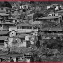 자연과한의원 수원 이미지