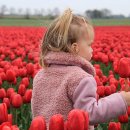 리아앤스칼프 이미지