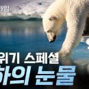 프라임사이언스 Daum카페