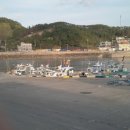 채플힐펜션 이미지