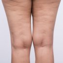 더찬스짐 역동점 이미지