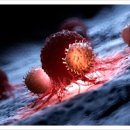 퍼스트바이오 이미지