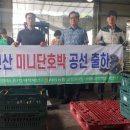 고전면 이미지