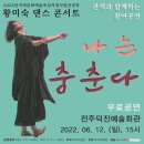 댄스콘서트 이미지