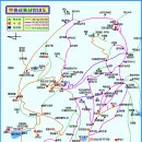 365차 이미지