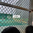 왕산게임장 이미지
