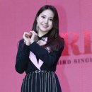 손드림 이미지