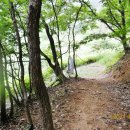 사명대사길 이미지