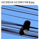 원픽 뮤직타운 | &lt;경주 여행&gt; 대구를 스쳐간 경주 시골쥐