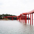 태평 티스토리