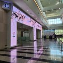 (주)위너스타 | 결혼준비 스타뜨💍 부산 벡스코 웨딩박람회 w웨딩...계약 / 부모님 소개 인사 식당 후기 / 까르띠에 웨딩링