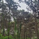 원산도해수욕장 화장실 이미지