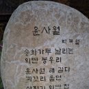 건천산내매운탕