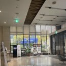 서울⎮강남에 위치한 저렴한 2성급, 호텔데님 내돈내산 후기