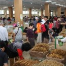 금산인삼쇼핑센터 이미지