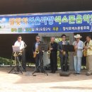 달맞이어울마당 Daum카페