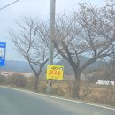 수자식당 이미지