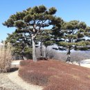 양평2게임클럽 이미지