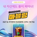 마블링 푸드 이미지