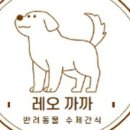 레오까까 이미지