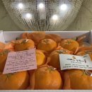 승환농장 이미지