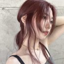 와드(WAD) 이미지