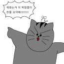 마하PC방 이미지