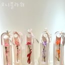 장암동주민센터 | 장암동꽃집 오니플라워 가격 위치 영업시간