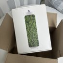 자연가습 이끼 테라리엄 이미지