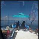 오케이낚시 이미지