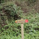 빨강궁전 | [포르투갈 리스본(Portugal Lisboa)] 리스보아 근교 신트라(Sintra) &#39;페나 궁전&#39; | 크리스마스 방문 후기