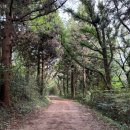 금오름 가는 길 | 11월 제주서쪽여행 - 서쪽언덕 "금오름" 정보, 위치 &amp; 주차, 소요시간, 가는 길, 포토존, 방문후기