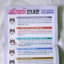 이혜승의원 | 고양이 사진 작가 찰카기 김하연 군포시 길고양이 동물복지 포럼 후기