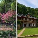 더 남산 이미지