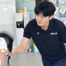 태권도전 태권도장 이미지