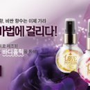 홀릭영 이미지