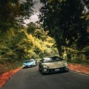 와본카서비스 이미지