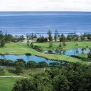 넥서스그린 이미지