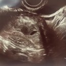 삼성제일산부인과의원 이미지