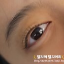 뷰티드윤 | 권선동 속눈썹 네일 : 뷰티드윤 : 속눈썹펌 블랙틴팅 후기
