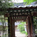 장춘사 - 1818 | 장춘사