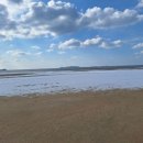 몽산펜션 | 안면도펜션 몽산포펜션 추천 태안 몽산해변펜션 솔직후기