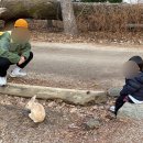 빛나키즈랜드2 이미지