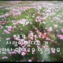 17)12. 莊子장자 外篇외편 第17篇 秋水(추수)(第12章)/韓國人만 몰랐던 長壽장수 祕訣비결 이미지